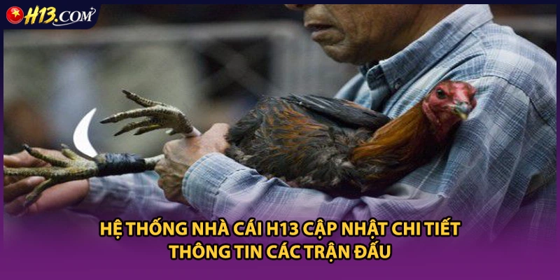 Hệ thống nhà cái H13 cập nhật chi tiết thông tin các trận đấu 